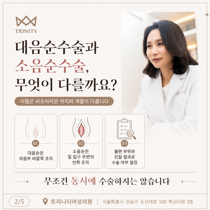대음순수술과 소음순수술 차이 — 바깥쪽·안쪽 조직 위치와 수술 여부 결정 기준